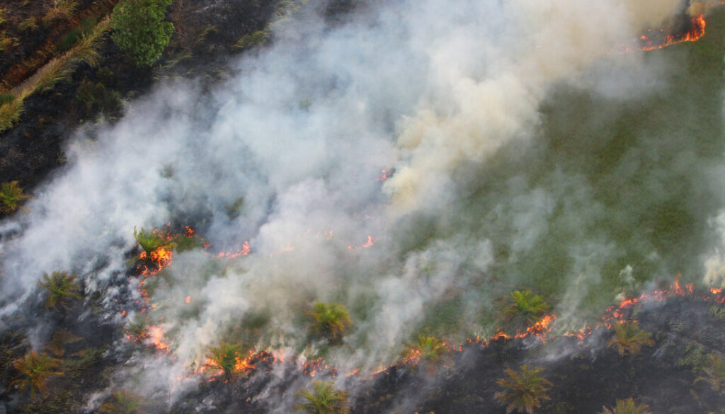 Foto udara kebakaran hutan dan lahan di Kabupaten Tapin, Kalimantan Selatan, Kamis (29/8/2019).