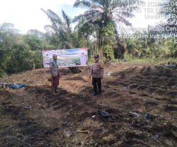 IMG-20260512-WA0011