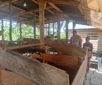IMG-20260518-WA0011