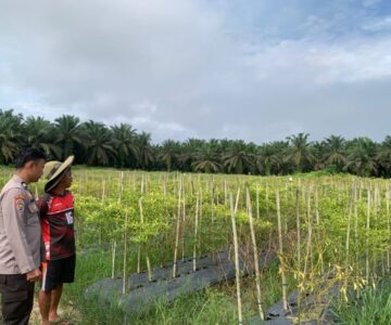 IMG-20260521-WA0014