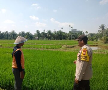 IMG-20260602-WA0015