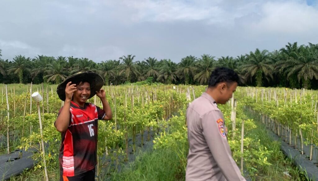 IMG-20260629-WA0026