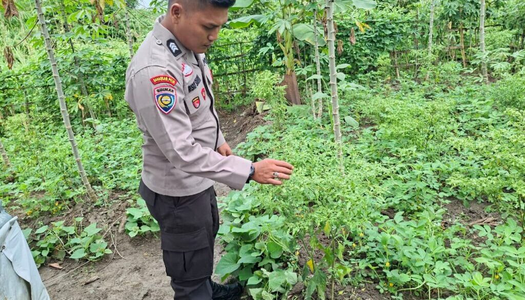 IMG-20260630-WA0010