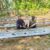 IMG-20260729-WA0007