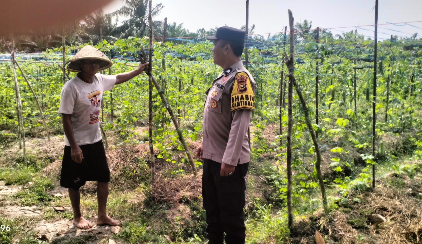 Dukung Ketahanan Pangan, Polsek Kuala Cenaku Ajak Petani Manfaatkan Lahan Kosong