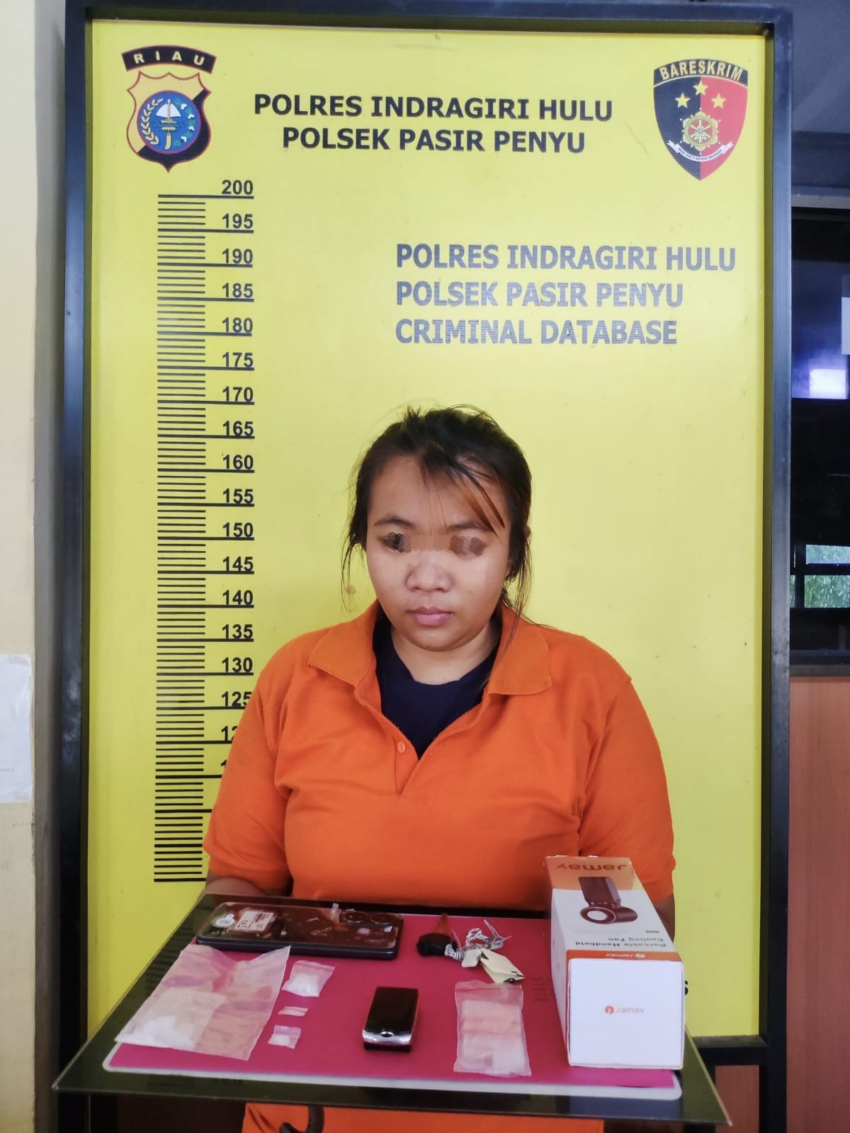 Wanita 22 Tahun Ditangkap di Lirik, Polsek Pasir Penyu Sita 3,88 Gram Sabu