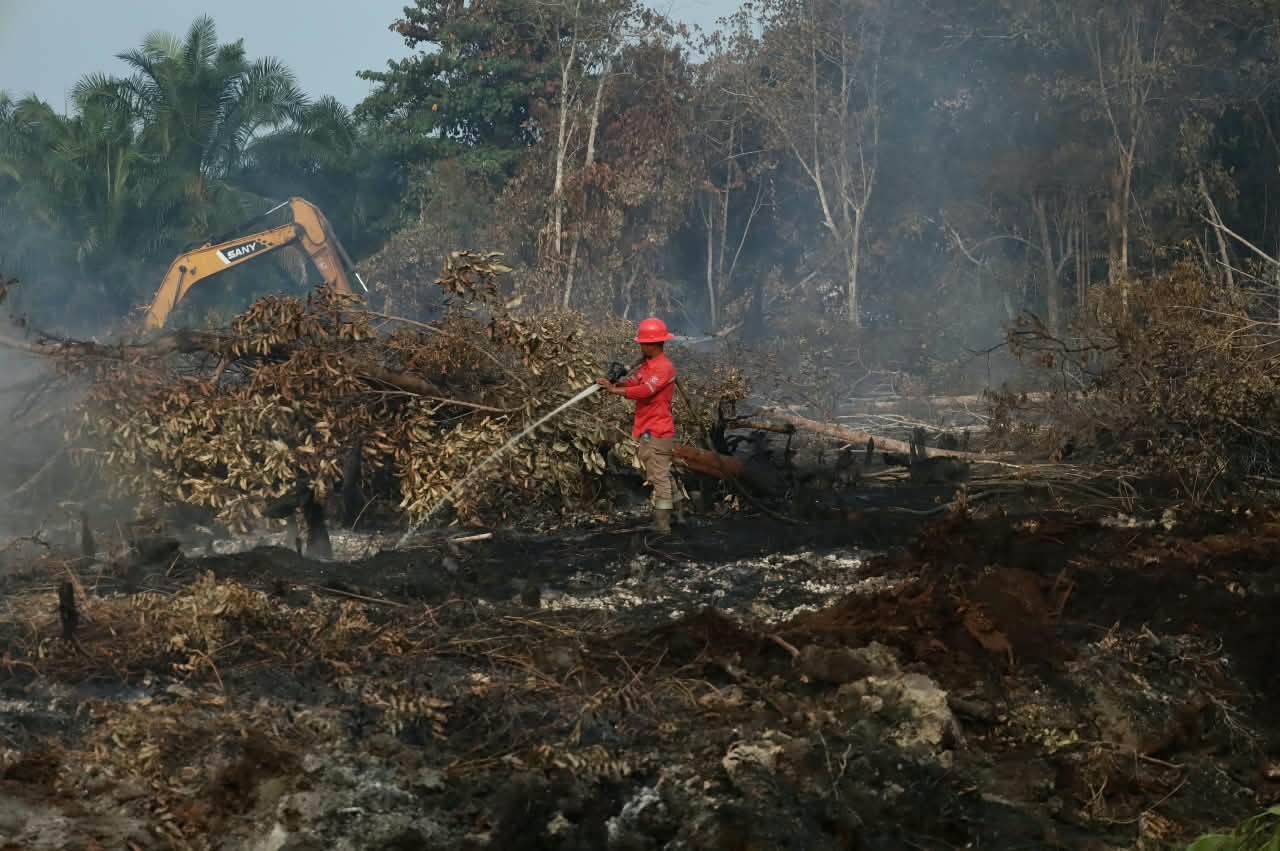 Inhu Peringkat 4 Terluas Terdampak Karhutla di Riau, BPBD Kebut Penanganan