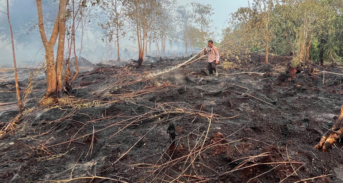 20 Hektar Lahan Gambut di Kuala Cenaku Terbakar, 2 Helikopter Water Bombing Dikerahkan